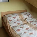 Pod Piorem شتوروك